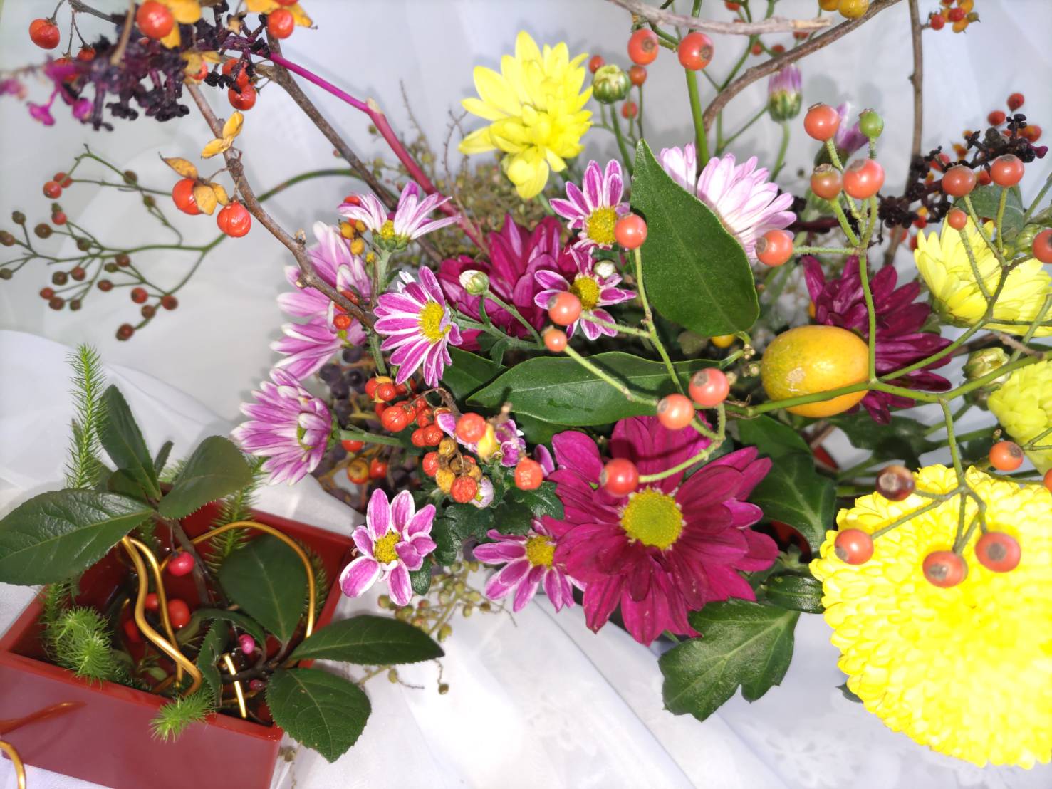 花あそび【13:30～】