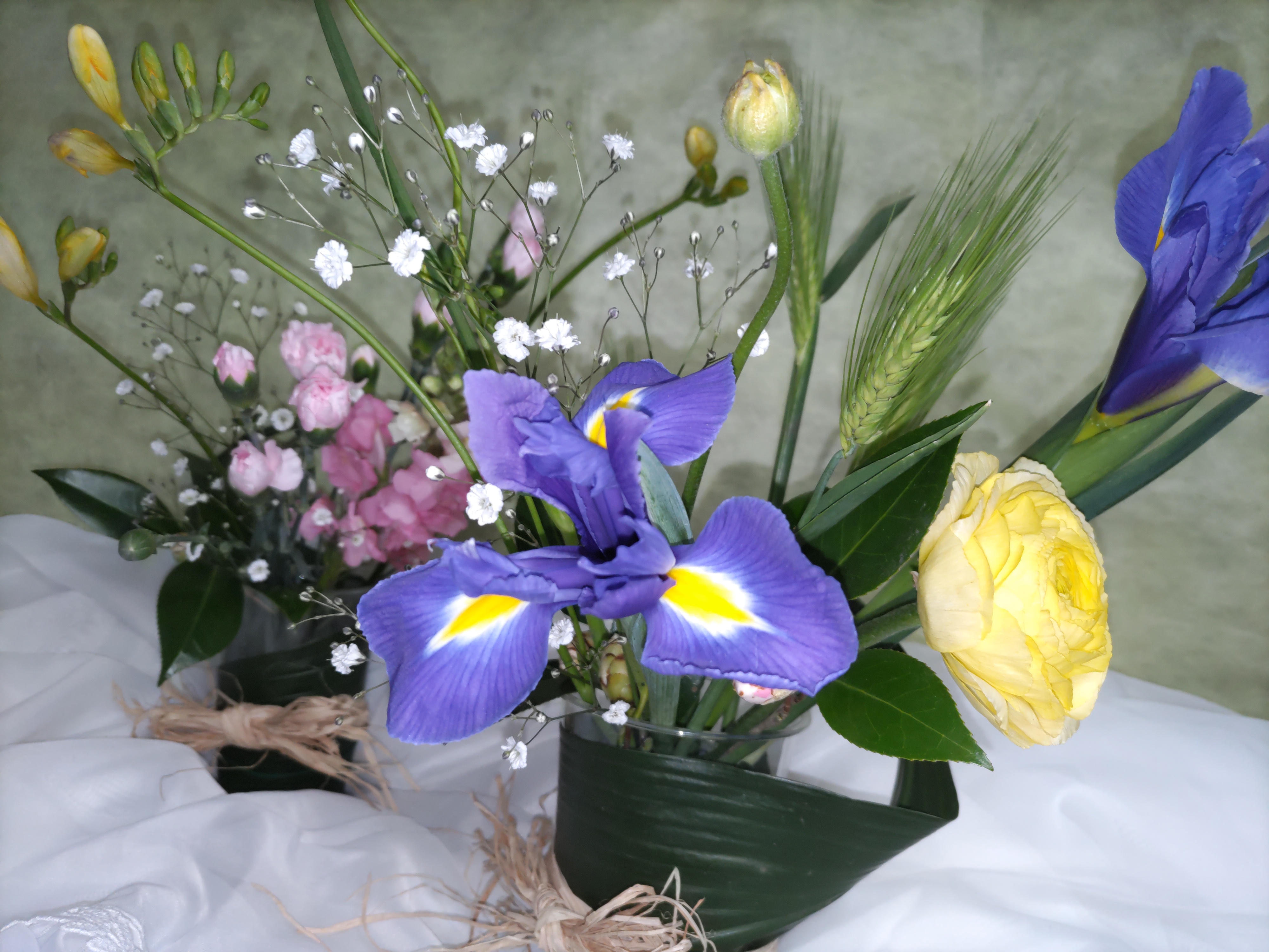 花あそび【10:00～】